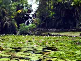 Queens Park Waterfall - Attractions Melbourne 0