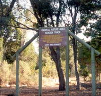 Carroll Nature Reserve Kokoda Track - Attractions Melbourne