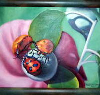 Kingaroy Shire Art Gallery - Attractions Melbourne