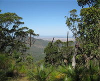 Zamia Walk