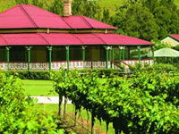 OReillys Canungra Valley Vineyards