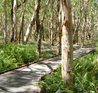 The Kommo Toera Trail - Attractions Melbourne
