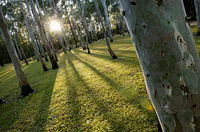 Tondoon Botanic Gardens
