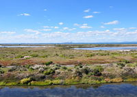 Point Cook Coastal Park