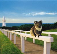 Cape Otway Lightstation - Attractions Melbourne