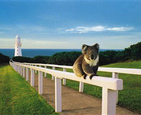 Cape Otway Lightstation - Attractions Melbourne 0