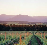 Domaine Chandon - Attractions Melbourne