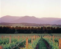 Domaine Chandon