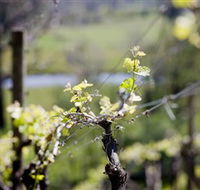 Downing Estate - Attractions Melbourne