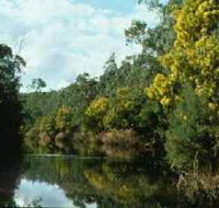 Warrandyte State Park - Attractions Melbourne