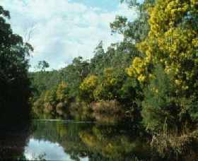 Warrandyte State Park - Attractions Melbourne 0
