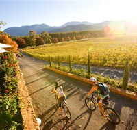 Boyntons Feathertop Winery - Attractions Melbourne