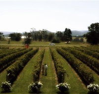 Rochford Wines - Attractions Melbourne