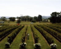Rochford Wines