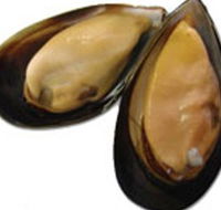 Sea Bounty - Attractions Melbourne