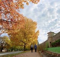 Beechworth Historic Park - Attractions Melbourne