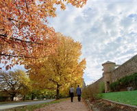 Beechworth Historic Park