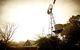 Brown Brothers Milawa Vineyard - thumb 1