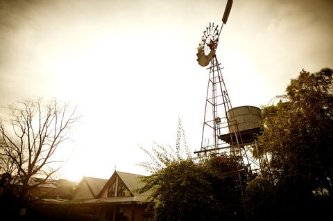 Brown Brothers Milawa Vineyard - Attractions Melbourne 1