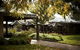 Brown Brothers Milawa Vineyard - thumb 2