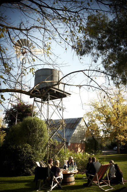 Brown Brothers Milawa Vineyard - Attractions Melbourne 5