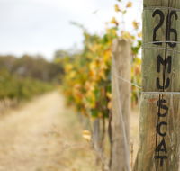 Stanton and Killeen Wines - Attractions Melbourne