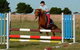 Saddle On Riding School - thumb 5