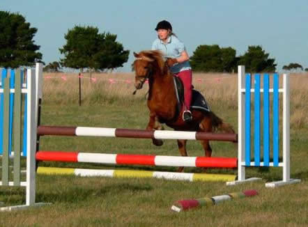 Saddle On Riding School - Attractions Melbourne 5