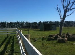 Saddle On Riding School - Attractions Melbourne 6