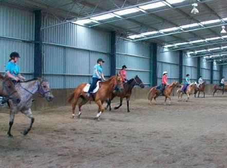 Saddle On Riding School - Attractions Melbourne 7