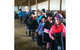 Saddle On Riding School - thumb 8