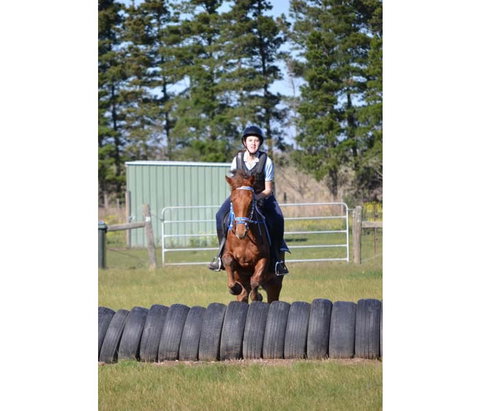 Saddle On Riding School - Attractions Melbourne 9