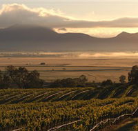 Montara Wines - Attractions Melbourne