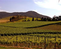 Soumah of Yarra Valley