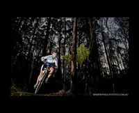 Book Forrest Accommodation Vacations Attractions Melbourne Attractions Melbourne