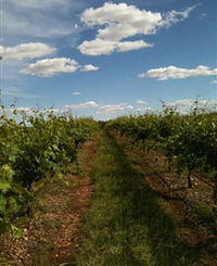 Chambers Rosewood Winery