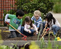 The Ian Potter Foundation Children's Garden
