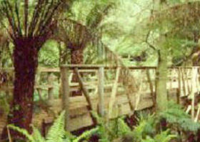 Mount Worth State Park - Attractions Melbourne 0