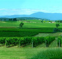 Acacia Ridge Vineyard - Attractions Melbourne