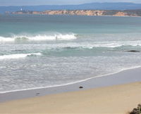 Lorne Girl