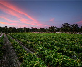 Amherst VIC Attractions Melbourne