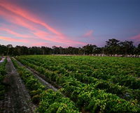 Book Talbot Accommodation Vacations Attractions Melbourne Attractions Melbourne