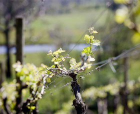 Michelini Wines - Attractions Melbourne 0