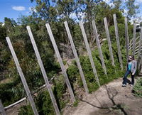 Herring Island Environmental Sculpture Park