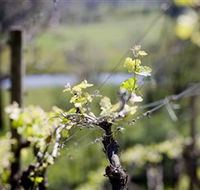 Lindemans Karadoc Winery - Attractions Melbourne