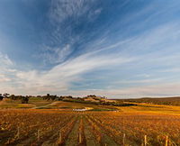 Sanguine Estate