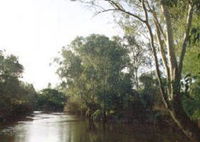 Banksia Park