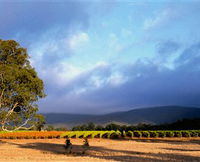 Mount Avoca