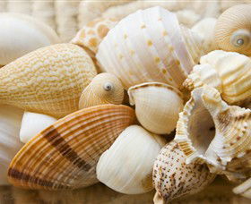 Anglesea Beach Club - Attractions Melbourne 0