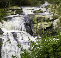 Agnes Falls Scenic Reserve - Attractions Melbourne